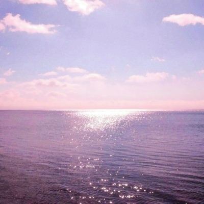 航海王顶上战争满v版下载